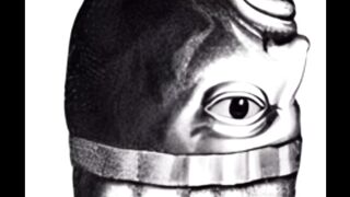 Double Face Optical Illusion Face