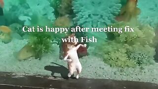 Happy Cat with Fish
