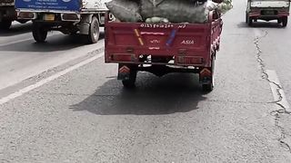 End must watch.. labour life..https://youtube.com/@pakistanisairsapatee?si=nvpyUuMqey40qDvi