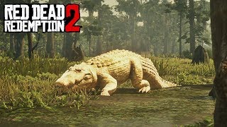 Red Dead Redemption 2 big bull gameplay