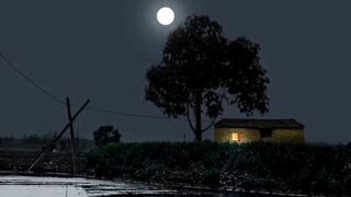 Beautiful night 8