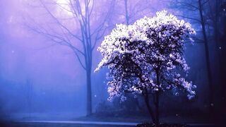 Meditation, relaxation and stress relief music - Find joy in the little things.