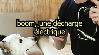Le retour de bâton