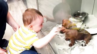 Funny Baby Videos - All Of The Cutest Thing You'll See Today