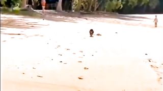 Animals Funny Moment???? 3