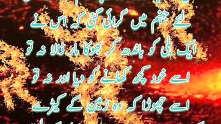 Jahannami Aurat |Hadees |  Status