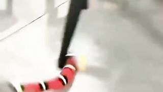 Attention!! Funniest video