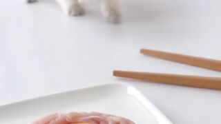 Asmr cat