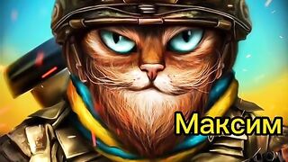 ЗСУ КОТИКИ