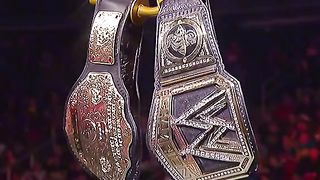 WWE реслинг 132