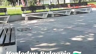КОЗЛОДУЙ
