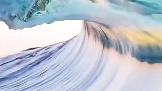 Facts video 2