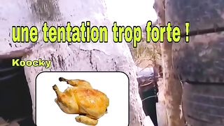 Poulet ????