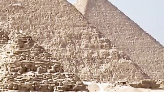 Amazing facts #interesting facts  #facts