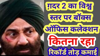 गदर 2 बॉक्स ऑफिस कलेक्शन विश्व स्तर पर कितना है/gadar 2 worldvide collection