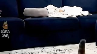 Смешные видео ролики про животных 2023