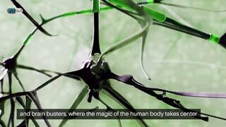 The Dance of Dopamine:  Unveiling the Brain's Reward System