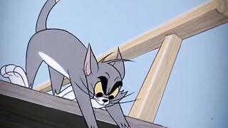 Shark...(Tom and Jerry)