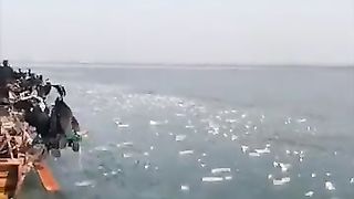 Catching The Fish