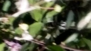 Ainimal flowers