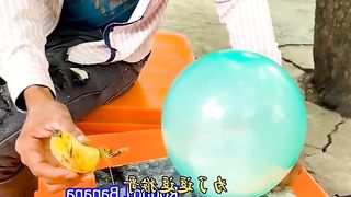 Funny Monkeys are Playing with Balloons