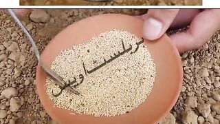 Asi tqat ka mard bardasht na kar saka
