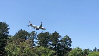 Airplane Landing Over Trees