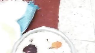 New Biryani Recipe
