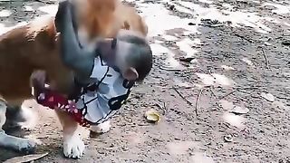 This friendship is from you.