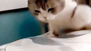 Приколи 408