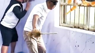 Funny video