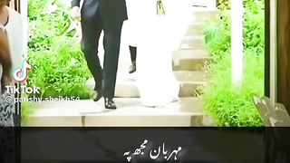 Tiktok video 66