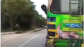 Bunny Helmet Reactions