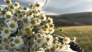 Beautiful place 37