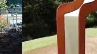 funny videos 2023 5