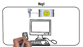Rug pull explain