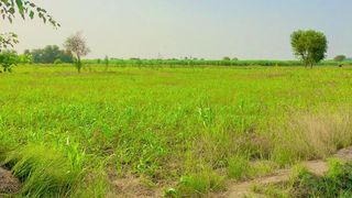 Gaon ka pursakon enviroment