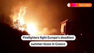 Firefighters try to contain a fire at the Dadia National Park in Greece, Europe's deadliest blaze this summer