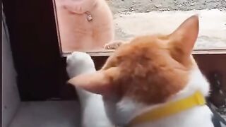 КОТКИ 32