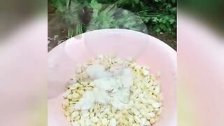 اسهل طريقه لعمل البصارة المصرية
