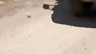 Funny | The Unbelievable Turkey Truck Tango | FunFM