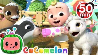 Old MacDonald Song - Baby Animals + More Nursery Rhymes & Kids Songs - CoComelon
