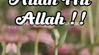 Allaha hu Allaha Hasbi rabi jallalah Allaha hu Allaha