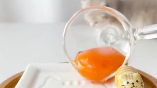 ASMR Funny cat