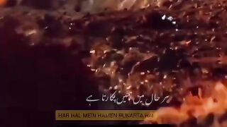Surah e Yunus Verse 12 with urdu translate
