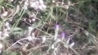 animal lovers 4