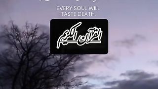 Quran Hr zee roh Ny Mout Ka Zaiqa chakhna