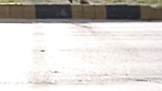 Nonsense people crossing road..https://youtube.com/@pakistanisairsapatee?si=V1GZumQeMHxMO_Gy