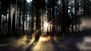 Nature Sound Sleep Solutions for Peaceful Nights