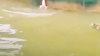 A monkey is bathing its baby